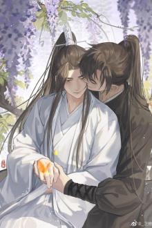 Vi Phu Bệnh Tật Ốm Yếu