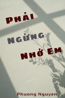 Phải Ngừng Nhớ Em