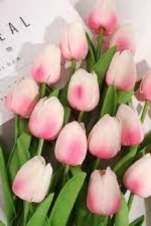 10 Năm Sau Gặp Anh