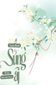 Xuyên Nhanh: Sủng Ái