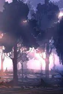 Tích Trữ Trong Mạt Thế: Cách Thức Sinh Tồn Kiểu 