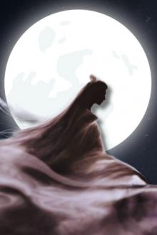 Chiêu Cảnh Truyện