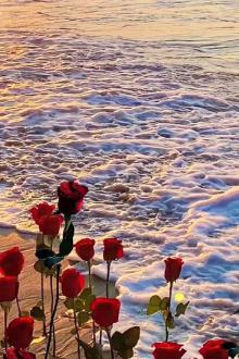 Tiến Về Phía Trước Có Người Bạn Yêu