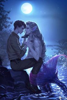 Hiệu Ứng Nhân Ngư