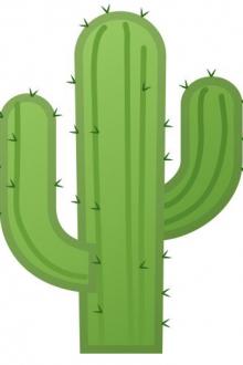 Toàn Thân Đều Là Gai