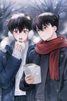 Gặp Anh Có Lẽ Là Định Mệnh Cuộc Sống Của Em Rồi