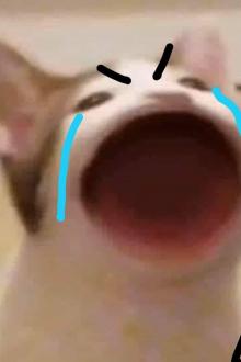 Truyện Ngắn Bách Hợp