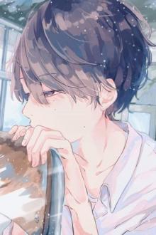 Người Đẹp Bị Giáo Thảo Phúc Hắc Cướp Mất Rồi