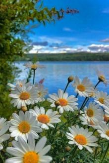 Mập Mạp Đáng Yêu