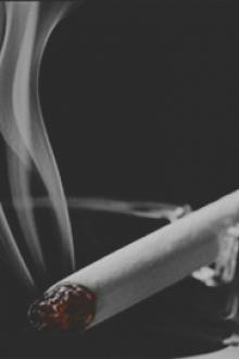 Điếu Thuốc Tàn (Bác Chiến)