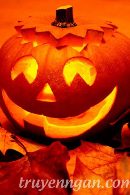 Ngày Hội Qủa Bí