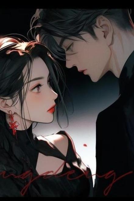 Hôn Nhân Hợp Đồng