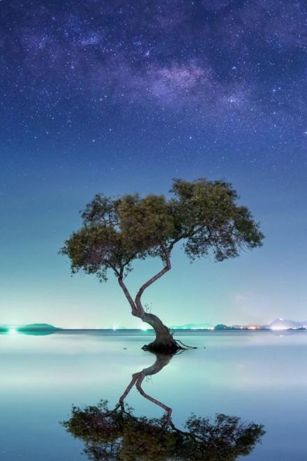 Chim Hoàng Yến Không Ngoan Của Đại Ca Cố Chấp