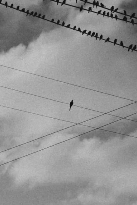 100 Ngày Cuối Cùng Của Kẻ Sát Nhân