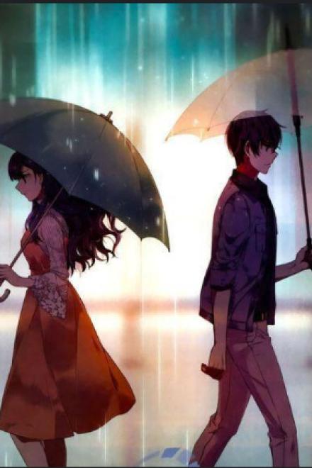 Sự Hối Hận Muộn Màng