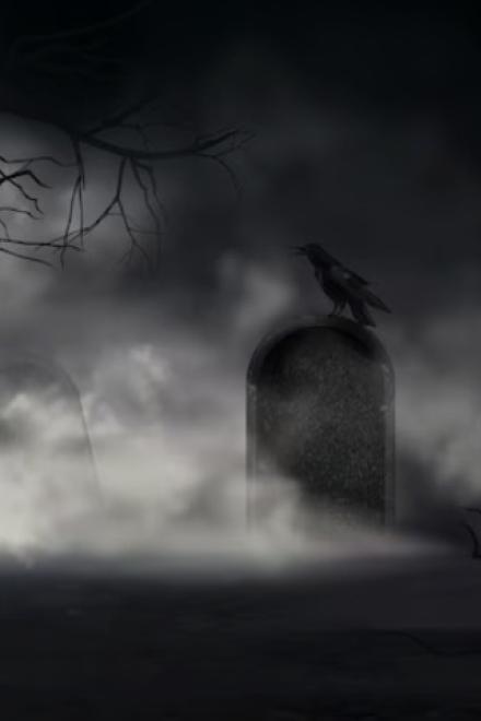 Thập Tử Nhất Sinh Tập Sự