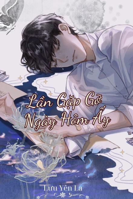 Lần Gặp Gỡ Ngày Hôm Ấy