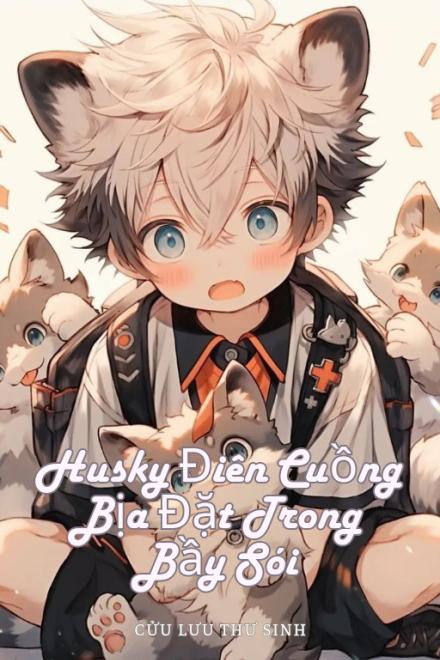 Husky Điên Cuồng Bịa Đặt Trong Bầy Sói