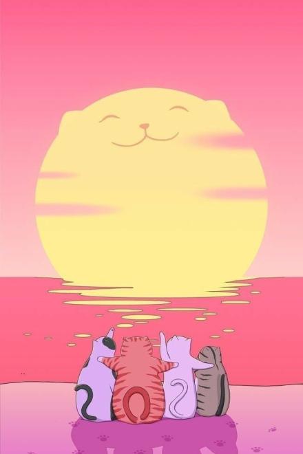 Đội Mèo Hoang Mở Họp