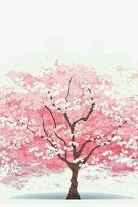 Cô Gái Dưới Tán Cây Anh Đào