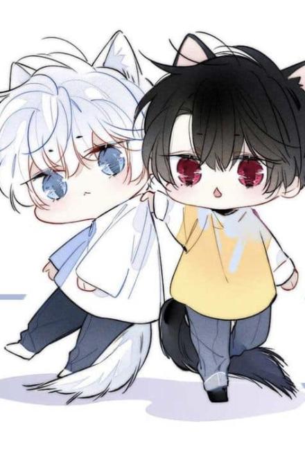 Sau Khi Xuyên Sách Tôi Bị Vai Thụ Theo Dõi Không Tha