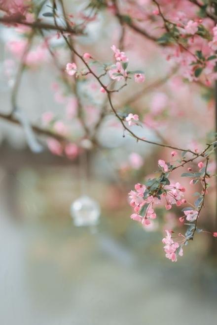 Nhất Niệm Sinh Bồ Đề