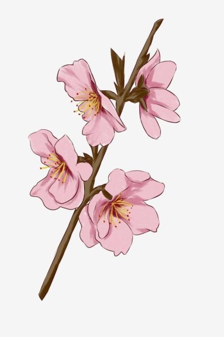 Xuyên Qua Dị Thế: Thăng Cấp (Chủ Công)