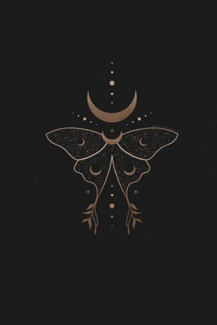 Cẩm Y Ngọc Lệnh