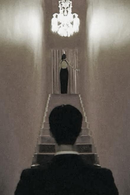 Sói Trắng Và Cừu Đen