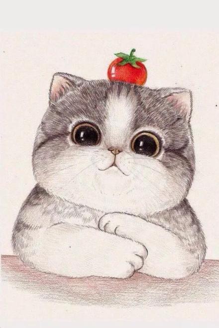 Ma Tôn Hắn Có Mèo