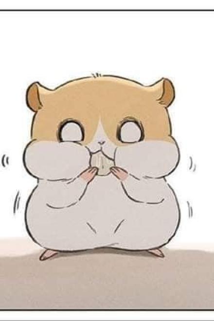 Chuột Hamster Và Đại Bàng Vàng Yêu Nhau Thế Nào?