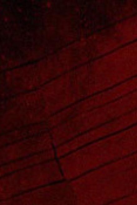 Ta Không Biết Mình Là BOSS [Vô Hạn]