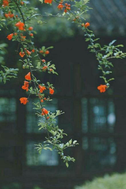 Ta Dựa Vào Viết Đồng Nhân Để Xưng Bá Thế Giới