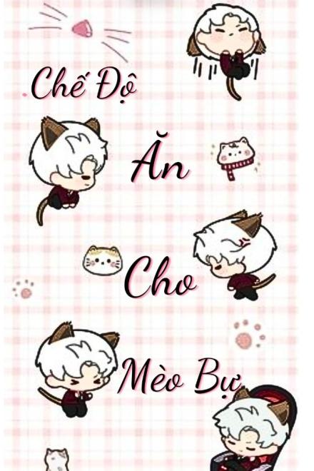 Chế Độ Ăn Cho Mèo Bự