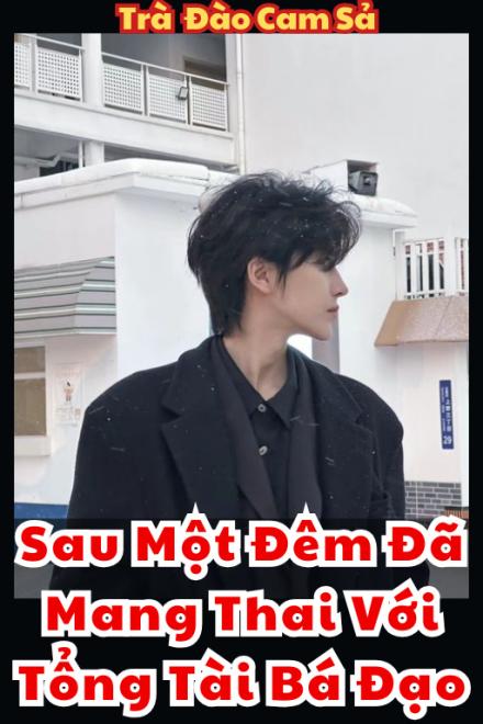 Sau Một Đêm Đã Mang Thai Với Tổng Tài Bá Đạo