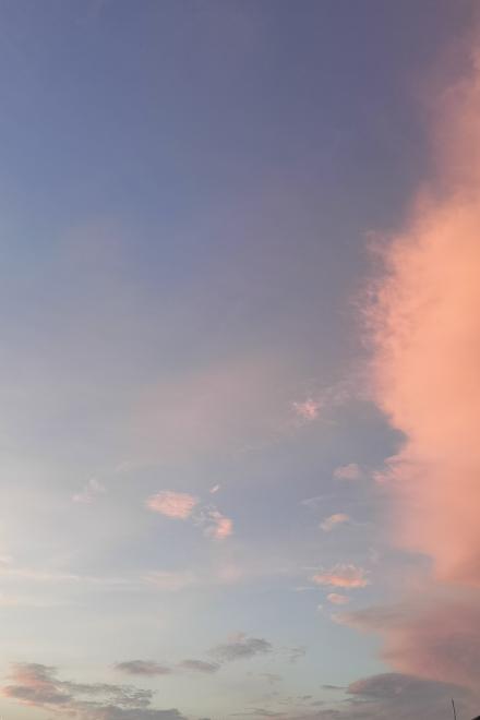 Ta Dựa Vào Làm Ruộng Đánh Tang Thi