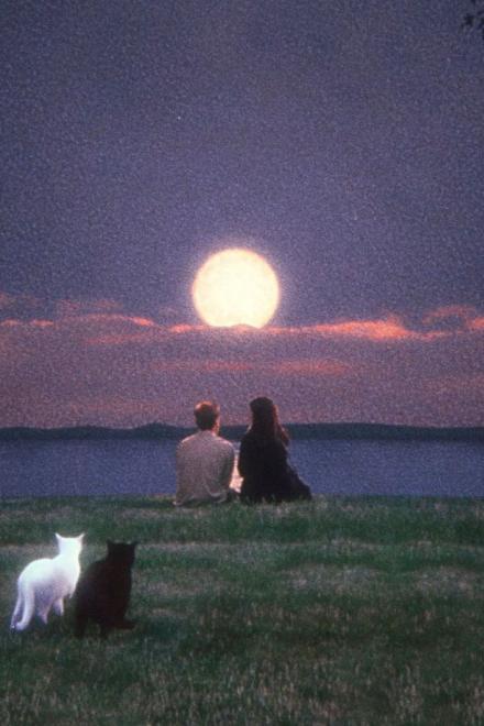 Sổ Tay Bạn Trai Chuẩn Mực