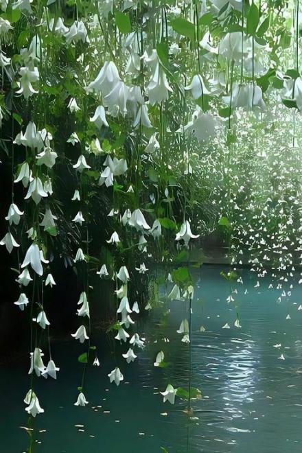 Đệ Nhất Quyền Thần Là Bệnh Mỹ Nhân