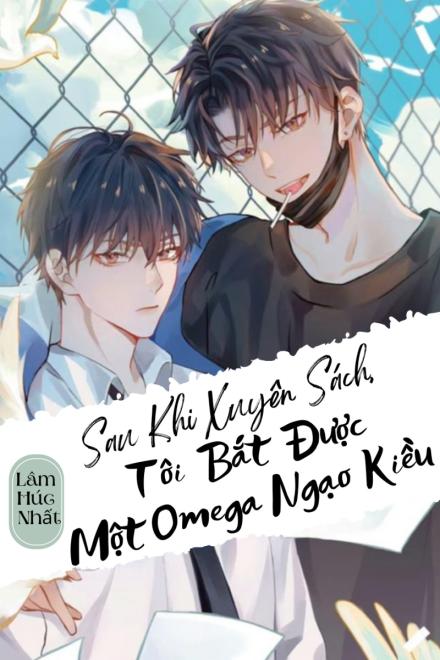 Sau Khi Xuyên Sách, Tôi Bắt Được Một Omega Ngạo Kiều