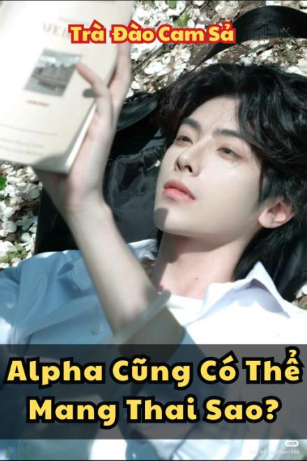 Alpha Cũng Có Thể Mang Thai Sao?