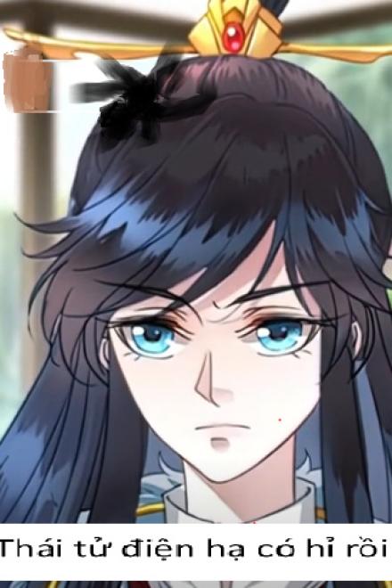 Thái Tử Điện Hạ Có Hỉ