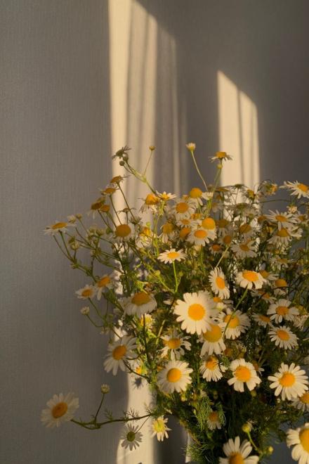 Đưa Em Đến Thế Giới Của Tôi – Quyển I