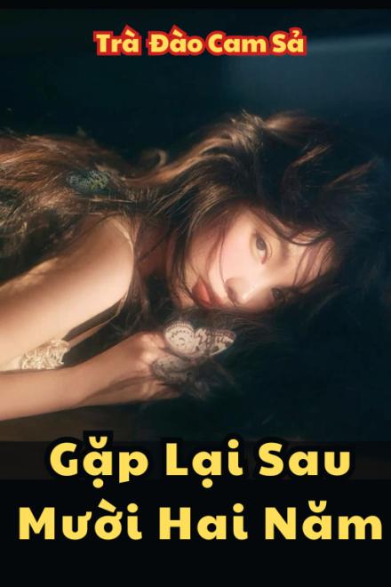 Gặp Lại Sau Mười Hai Năm