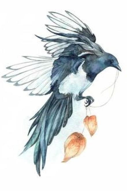 Dạ Dương Điều