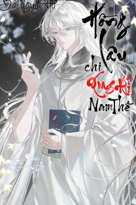 Hồng Lâu Chi Xung Hỉ Nam Thê