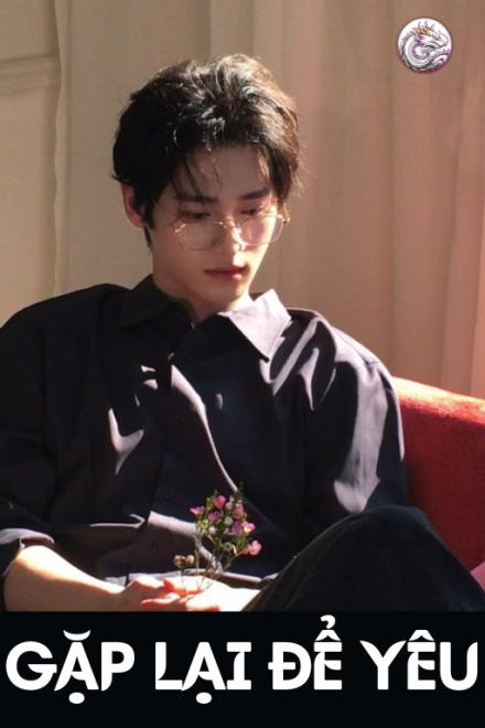 Gặp Lại Để Yêu