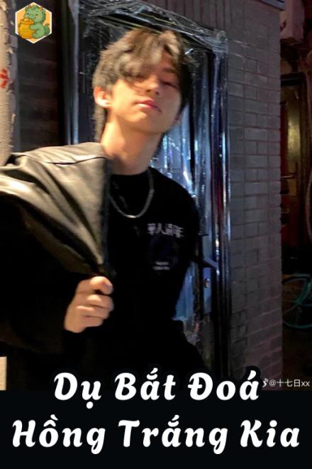 Dụ Bắt Đoá Hồng Trắng Kia