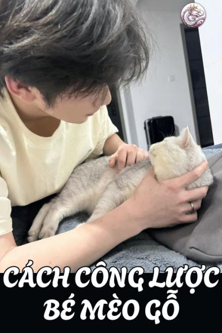 Cách Công Lược Bé Mèo Gỗ