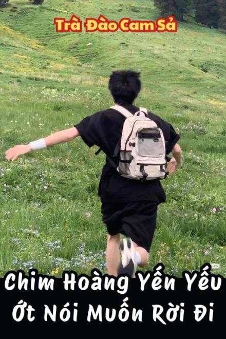 Chim Hoàng Yến Yếu Ớt Nói Muốn Rời Đi