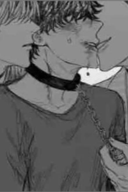 Độc Dược Triền Miên